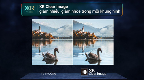 17309765733972779711