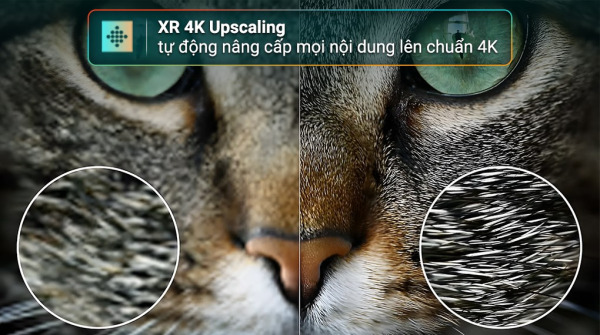 173097657351197012009